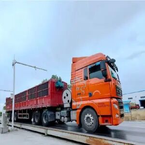 Weighting Scale for Baling Machine